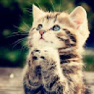 Meet your Posher, Kali